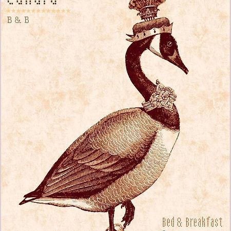 Madame Canard บาเวโน ภายนอก รูปภาพ